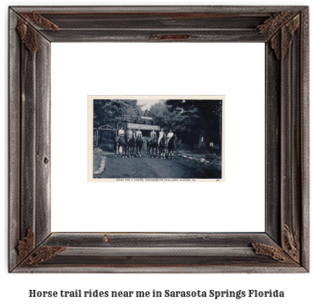 horse trail rides near me in Sarasota Springs, Florida